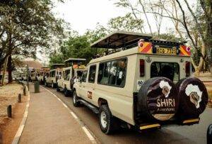Discover the Magic of Tanzania Luxury Safari Experience