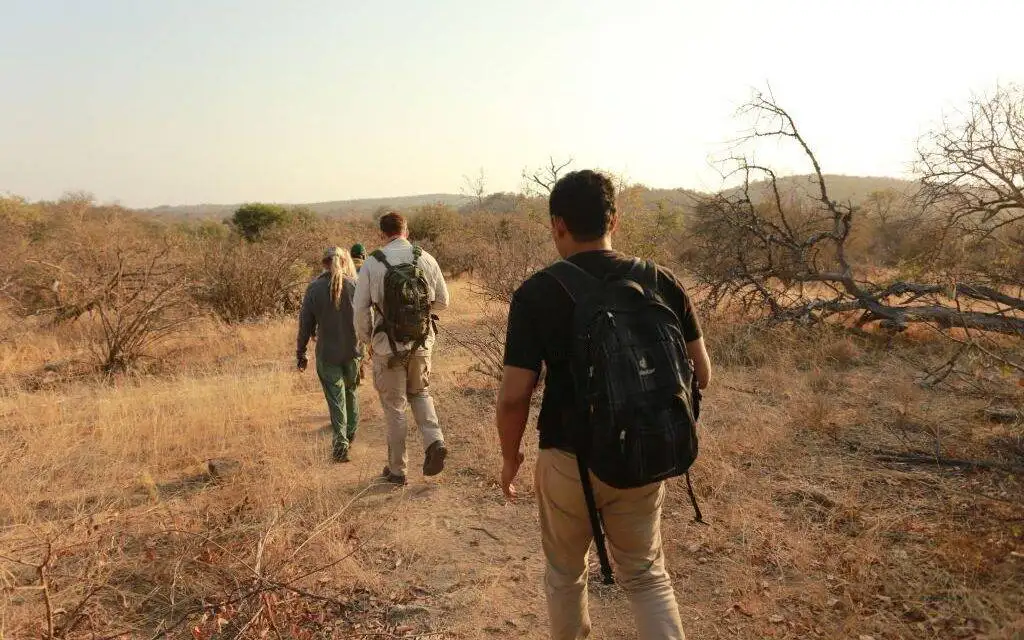 Experience the Thrill of a Lifetime with Tanzania Walking Safari