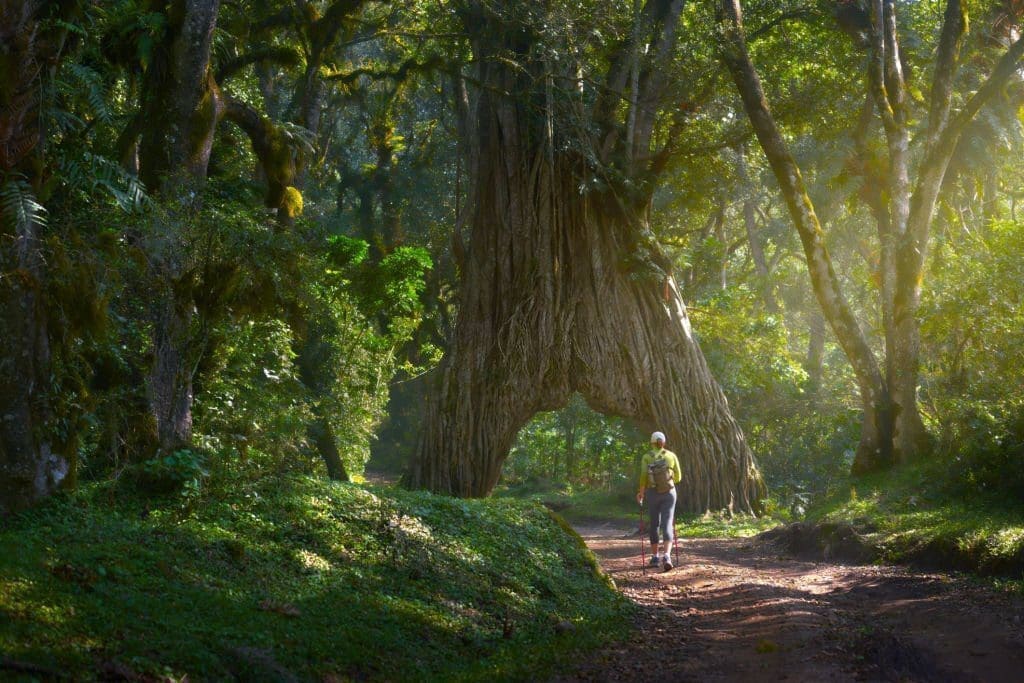 Arusha Day Trip Delights