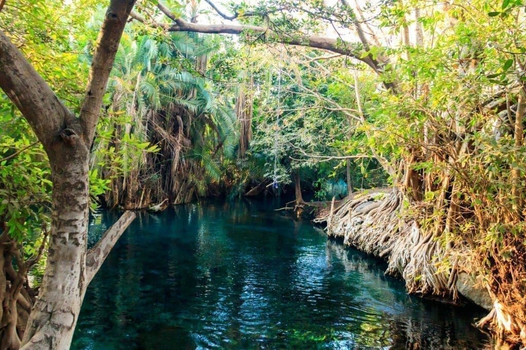 Chemka hot springs Kikuletwa