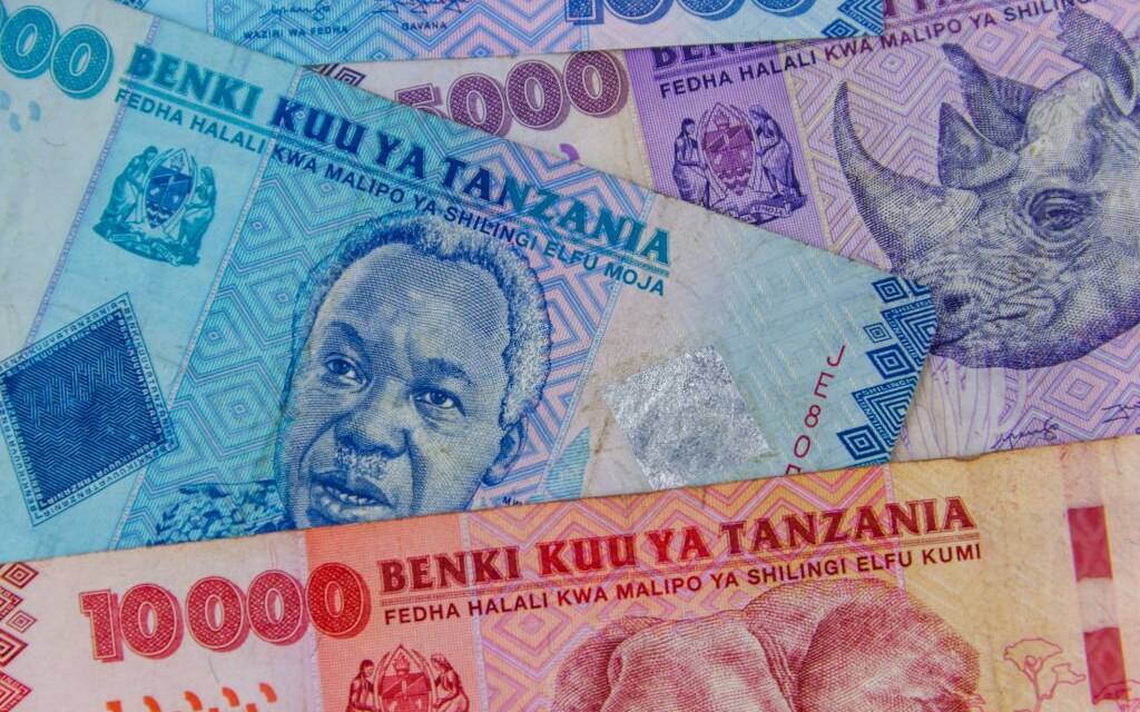 Tanzania currency