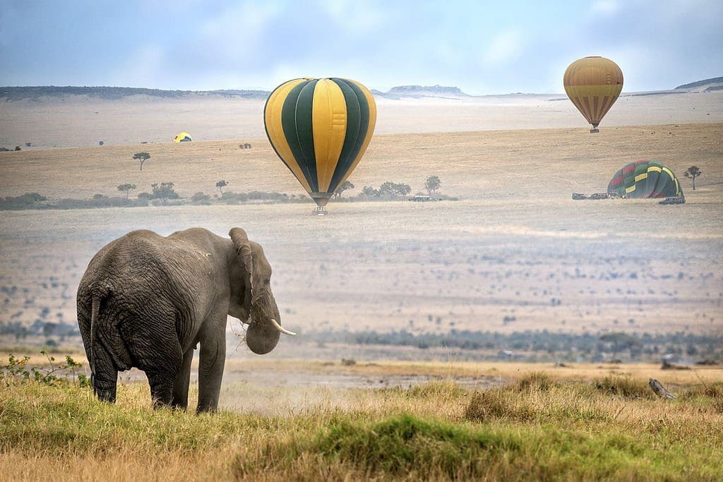 Kenya Travel Guide