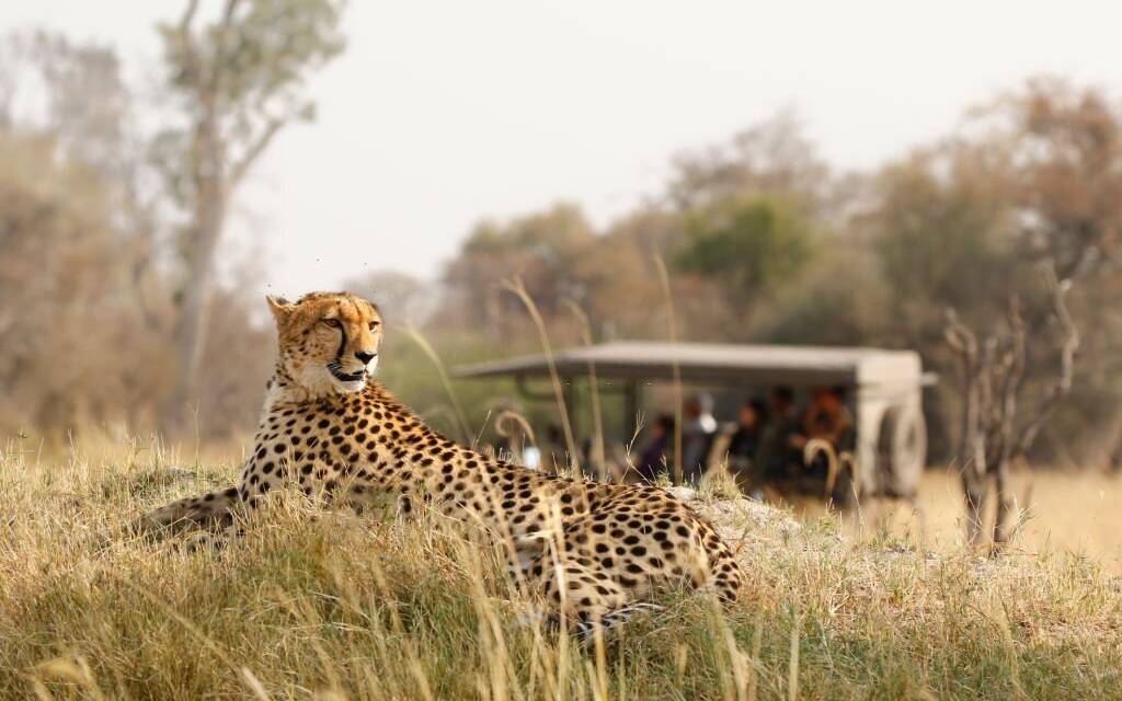 Tanzania Safari FAQ