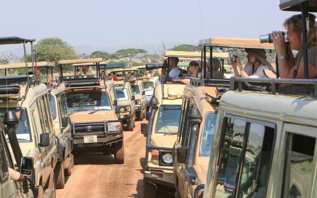 Tanzania Family Safari Best Expert Tips and Destinations for Your Adventure
