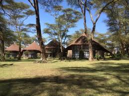 naivasha3