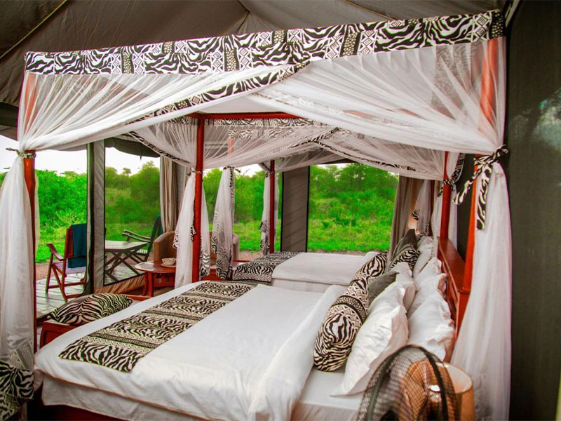 Embalakai-Ngorongoro-Camp-Lodge
