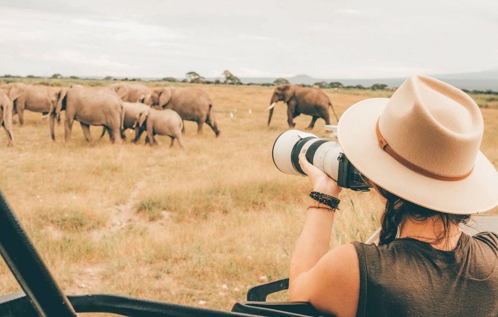 Planning safari