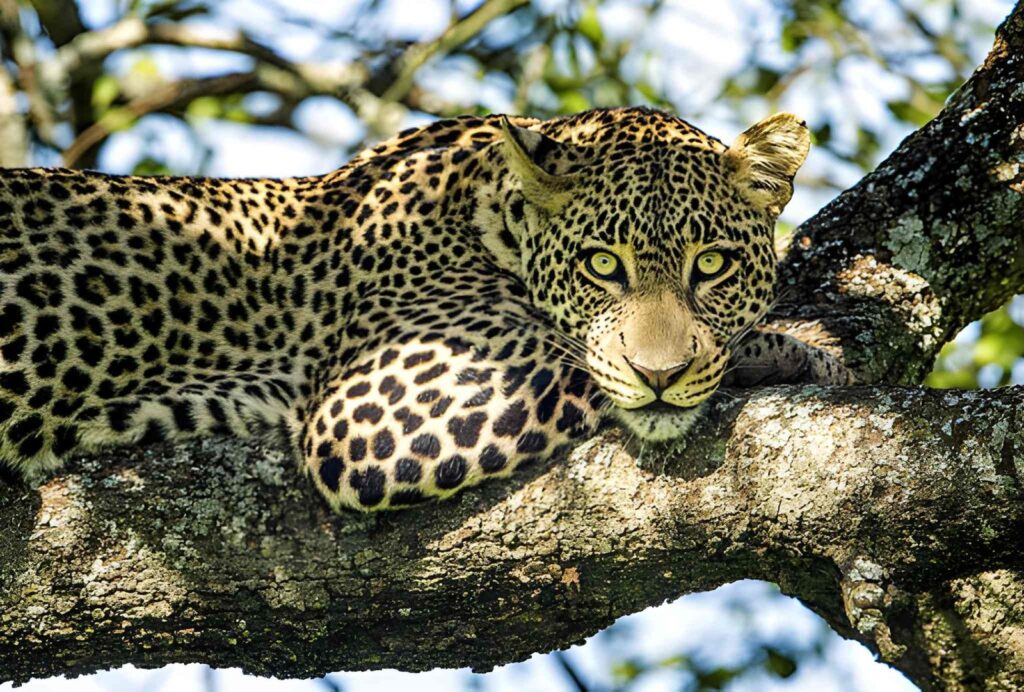 tanzania travel insights