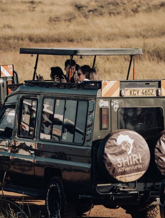 Shiri Land Cruiser