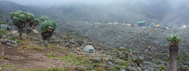 Diamox while in Mountains