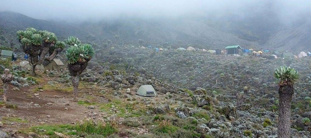 Diamox while in Mountains