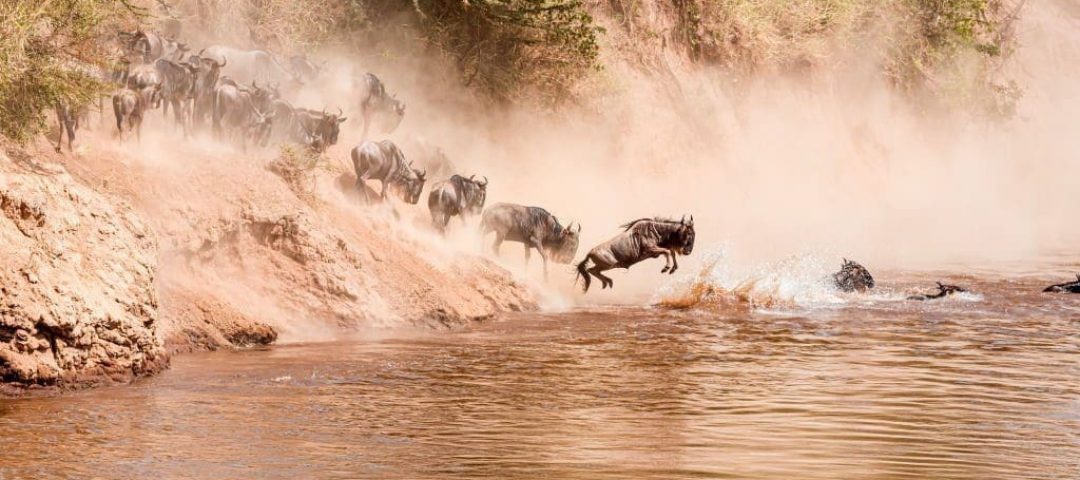 10-Day Kenya and Tanzania Combo Safaris