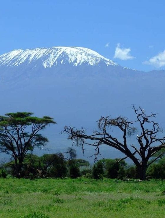 Food on Mount Kilimanjaro