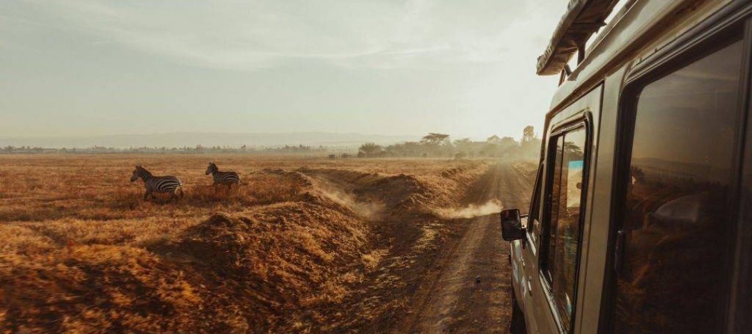 10-Day Kenya and Tanzania Combo Safaris