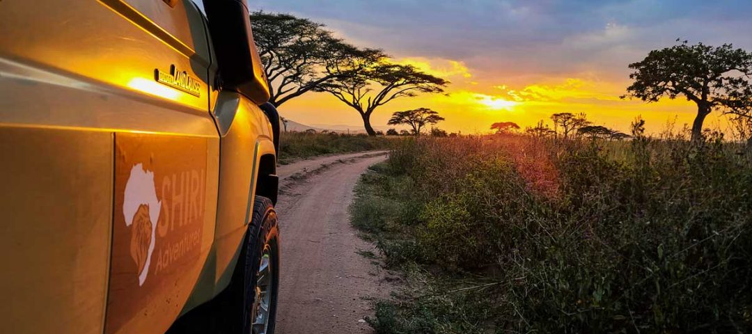 6 Day Mid Range Safari