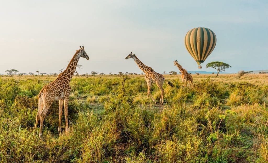 Serengeti National Park