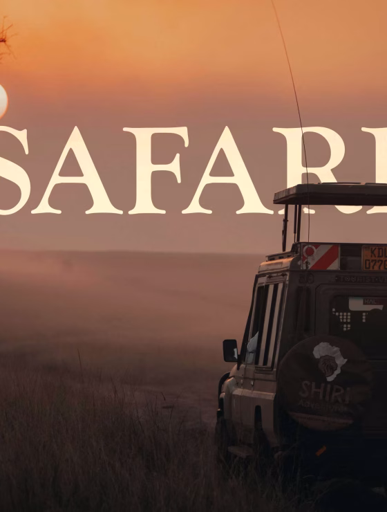 Shiri-Sunset-Masai-Maraavif - Youtube Overlay