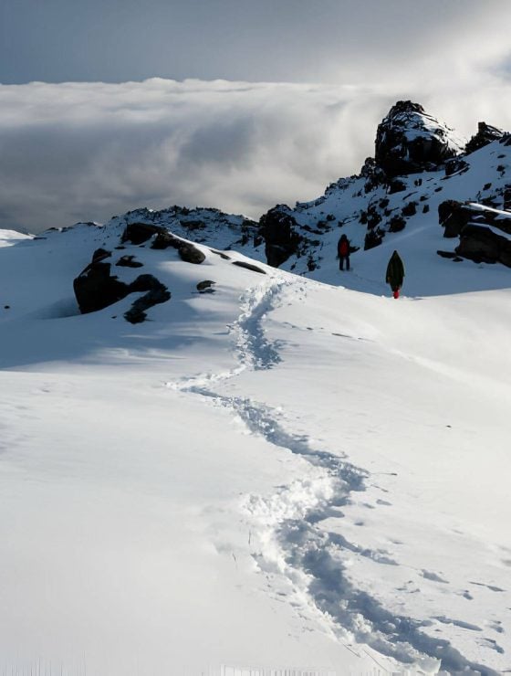 Acclimatization on Kilimanjaro