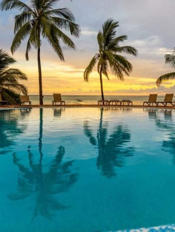 Swimming pool at tropical sandy beach with palm trees at sunset,  Zanzibar,  Tanzania