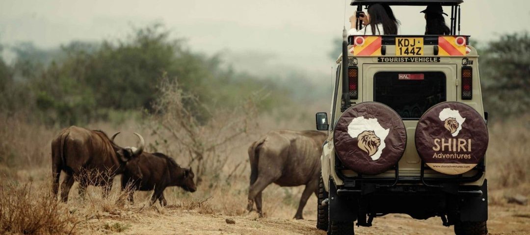 masai mara