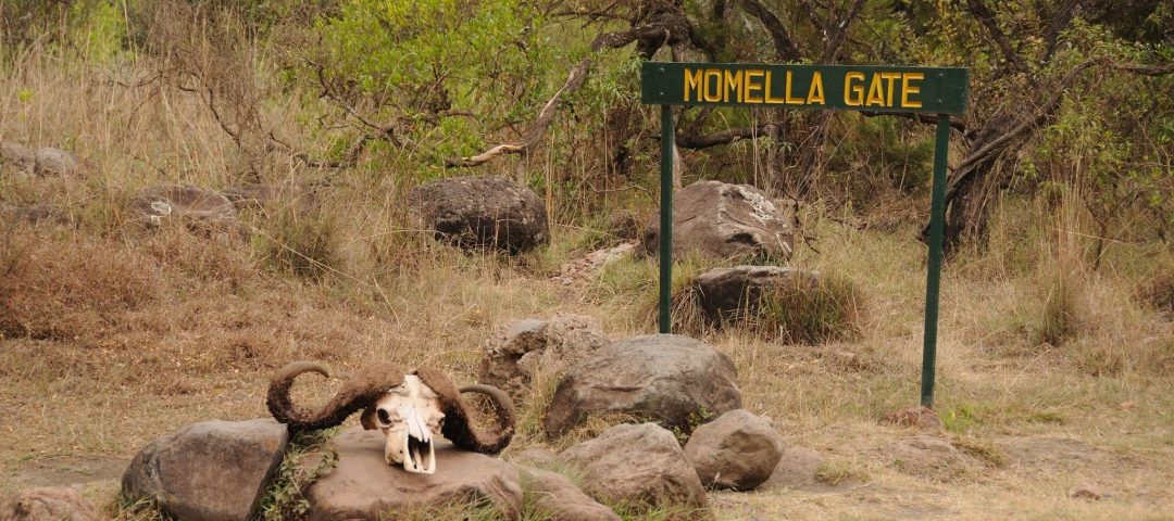 momella