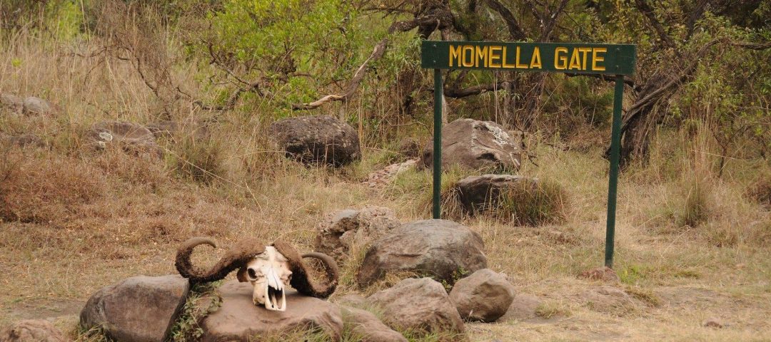 momella