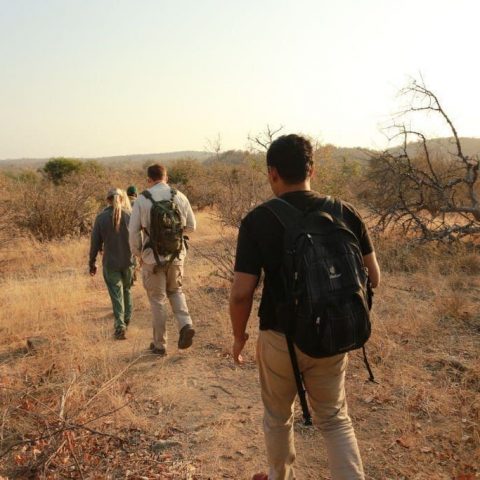 Tanzania Walking Safari
