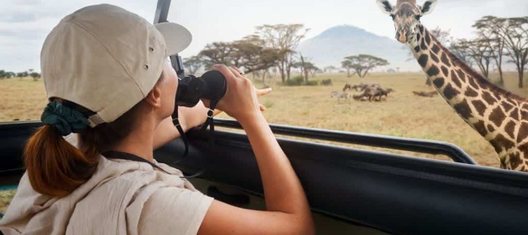 6 Day Mid Range Safari